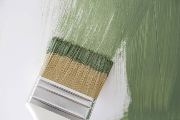 Best Air Quality Testing for Mold Spores  in Largo, FL