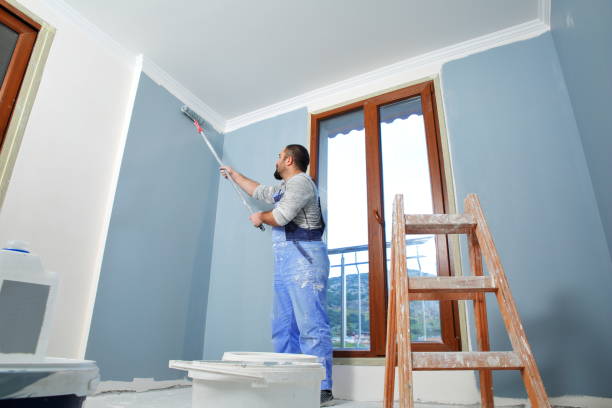 Largo, FL Mold Removal Company