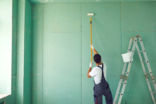 Environmental Consulting for Mold Prevention in Largo, FL