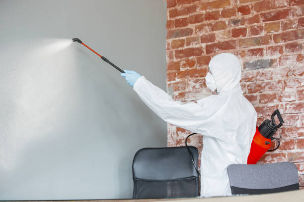 Best Mold Removal for HVAC Installations  in Largo, FL