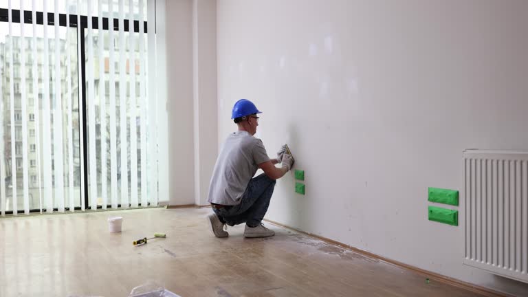 Best Basement Mold Removal  in Largo, FL