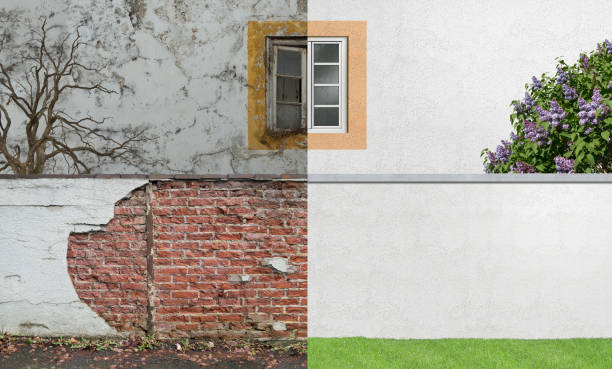  Largo, FL Mold Removal Pros