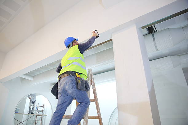 Best Post-Construction Mold Inspection  in Largo, FL